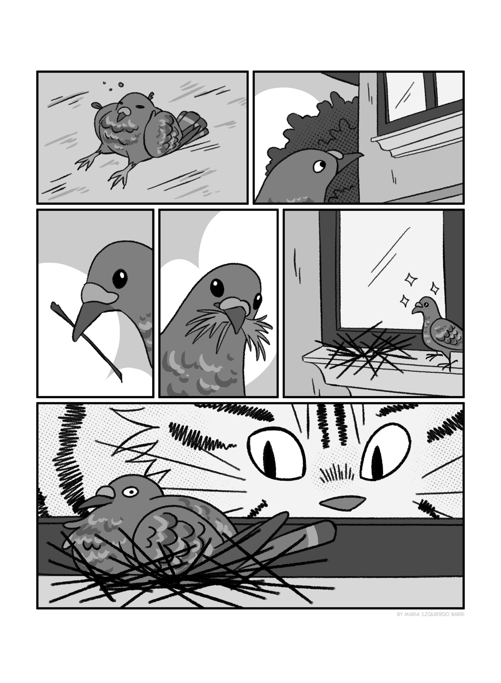 In this page the pigeon is on the ground, out of it. Then it sees a window sill and carefully builds a new nest. But once it's on it, a cat looks at it menacingly from the other side of the window.